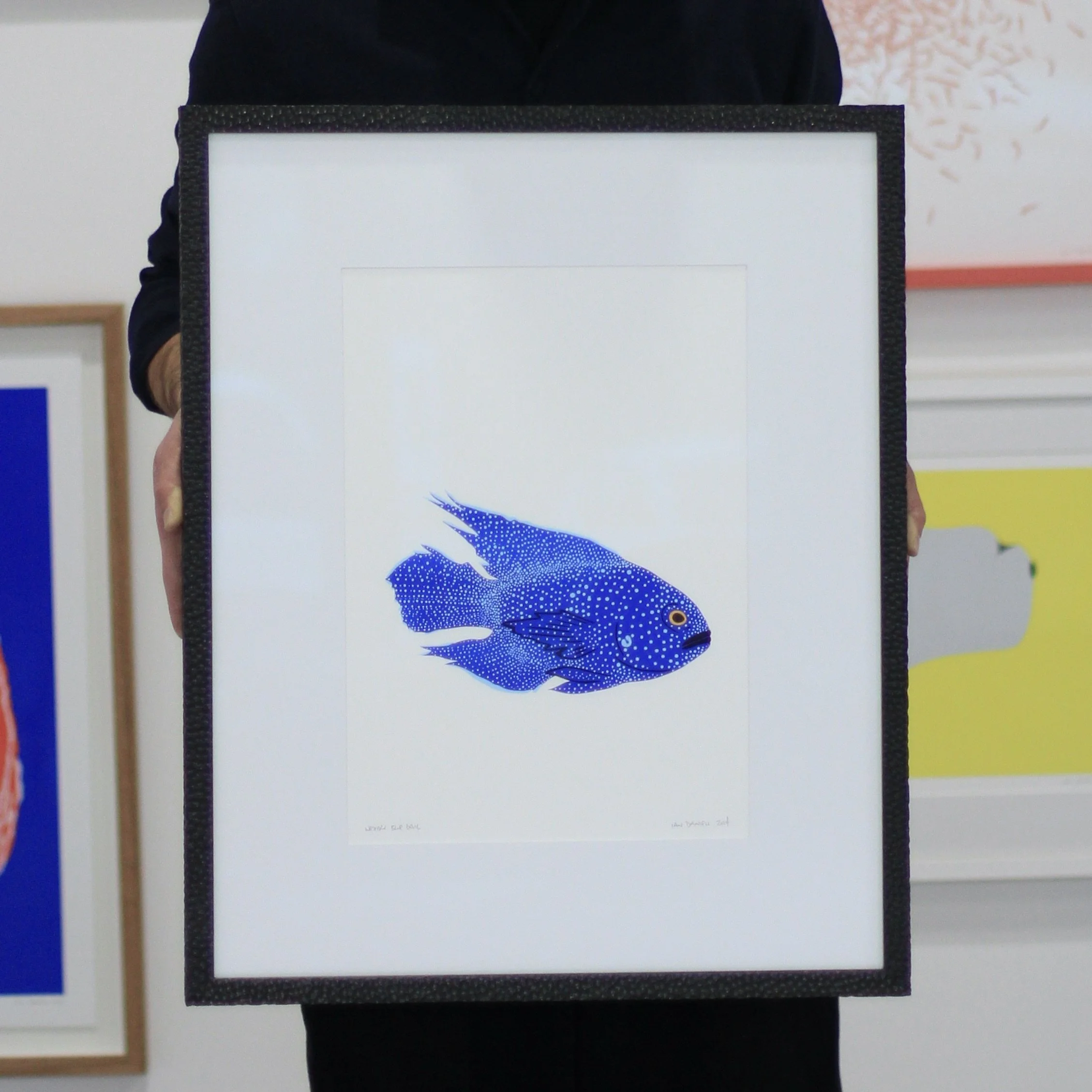 Ian Daniell Life-size Ocean Art Shop — Ian Daniell Art Studio